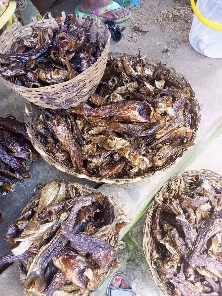 fish 2